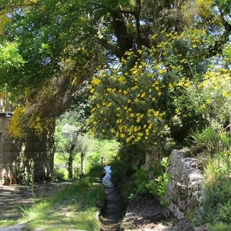 Campo Tamanqueiro Chalé