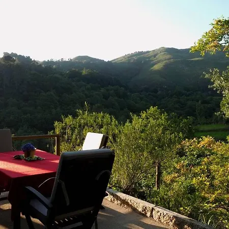 Campo Tamanqueiro Chalet *