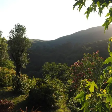 Chalet Campo Tamanqueiro