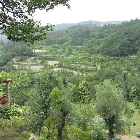 Campo Tamanqueiro Chalet