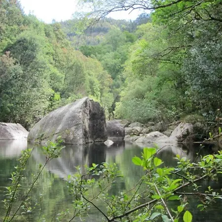 Campo Tamanqueiro Chalé