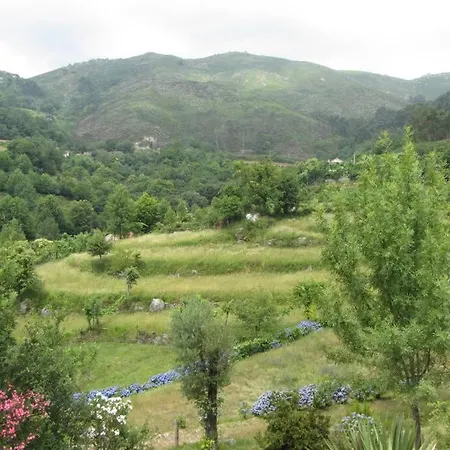 Chalet Campo Tamanqueiro *