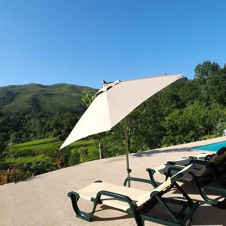 Campo Tamanqueiro Chalet
